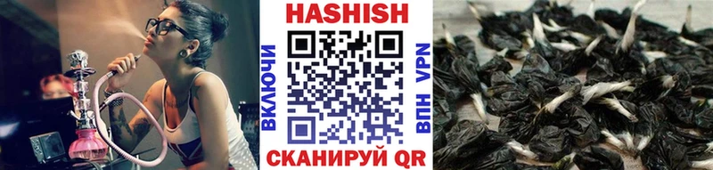 что такое   Любим  Гашиш хэш 