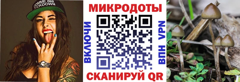 блэк спрут как войти  Любим  Галлюциногенные грибы ЛСД 